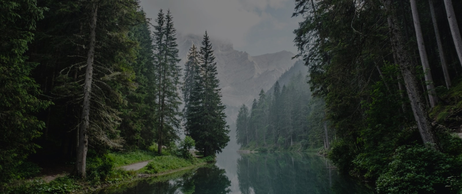 home-banner-1